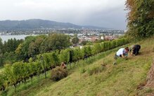 Christine Dobler Gross