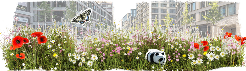 Blumenwiese vor Europaallee mit Pandabär