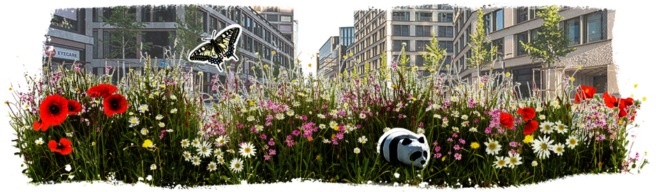 © WWF Zürich / studio silvan borer