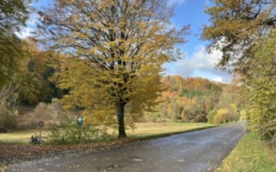 Strasse führt durch Naturschutzgebiet