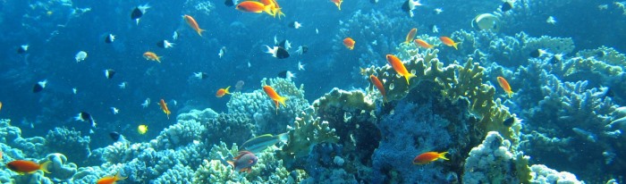 © Frédéric Monnot / WWF-Canon