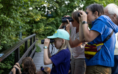 Kinder und Erwachsene schauen von einer Brücke mit einem Feldstecker ins grüne Dickicht 
